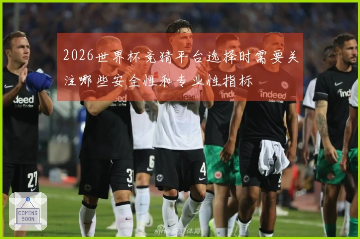 2026世界杯竞猜平台选择时需要关注哪些安全性和专业性指标