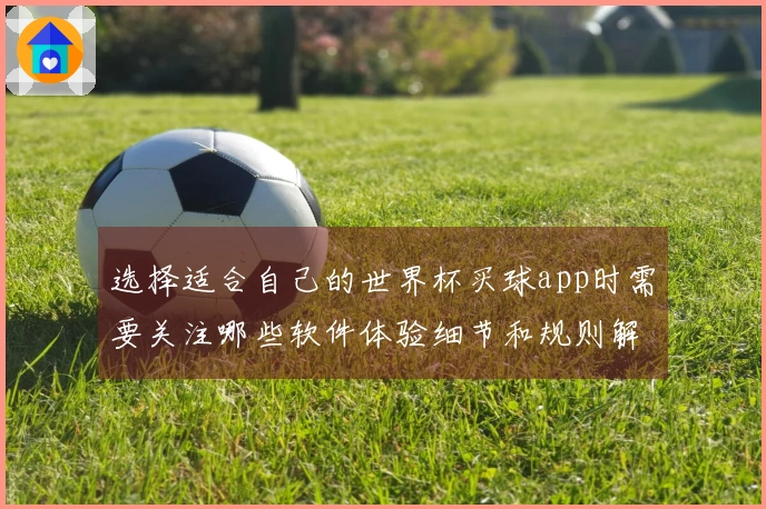 选择适合自己的世界杯买球app时需要关注哪些软件体验细节和规则解读