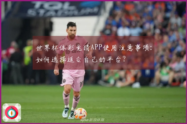 世界杯体彩竞猜APP使用注意事项：如何选择适合自己的平台？