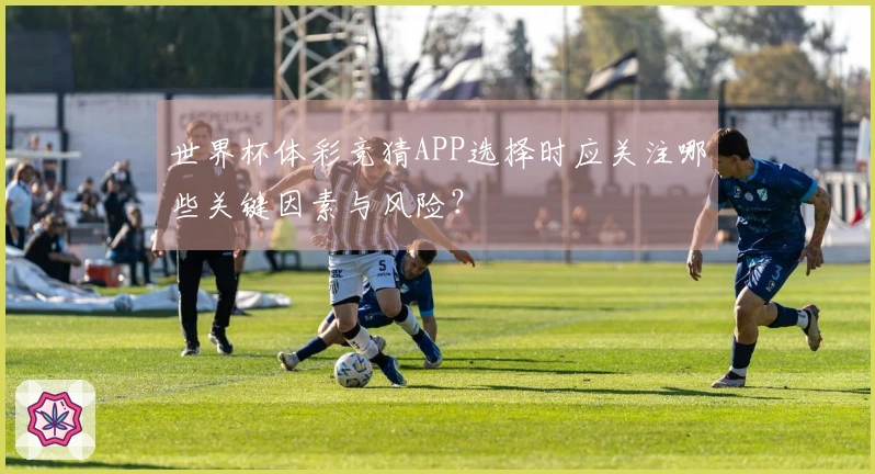 世界杯体彩竞猜APP选择时应关注哪些关键因素与风险？