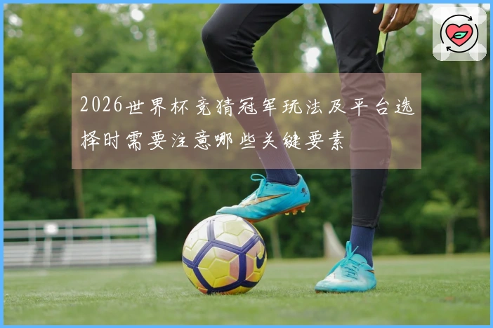 2026世界杯竞猜冠军玩法及平台选择时需要注意哪些关键要素