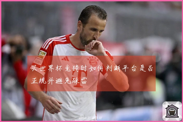 买世界杯竞猜时如何判断平台是否正规并避免踩雷
