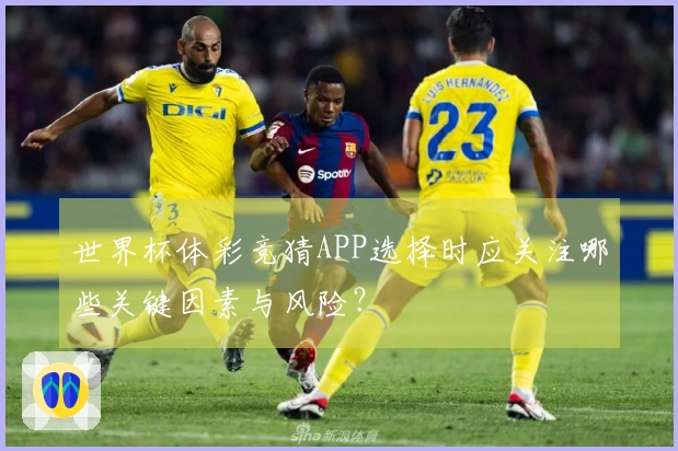 世界杯体彩竞猜APP选择时应关注哪些关键因素与风险？