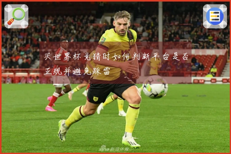 买世界杯竞猜时如何判断平台是否正规并避免踩雷